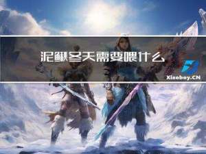 泥鳅冬天需要喂什么