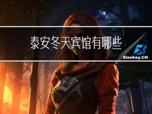 泰安冬天宾馆有哪些