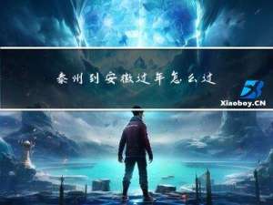 泰州到安徽过年怎么过海