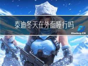 泰迪冬天在外面睡行吗
