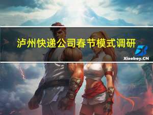 泸州快递公司春节模式调研