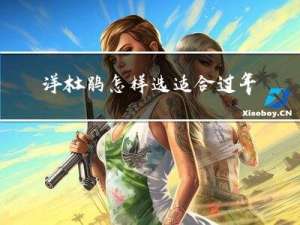 洋杜鹃怎样选适合过年期间