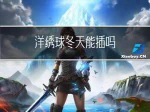 洋绣球冬天能插吗