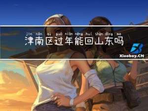 津南区过年能回山东吗