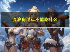 流浪狗过年不能吃什么