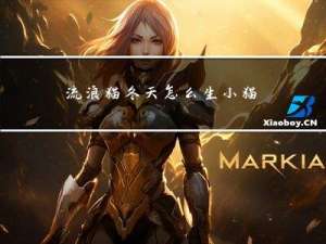 流浪猫冬天怎么生小猫