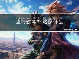 流行过年补贴是什么