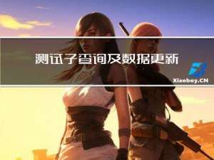 测试-子查询及数据更新