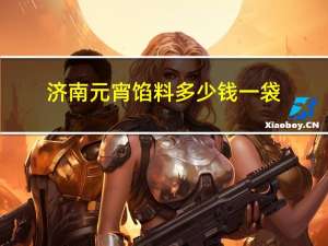 济南元宵馅料多少钱一袋