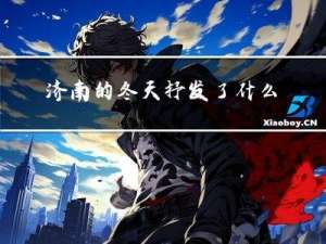 济南的冬天抒发了什么
