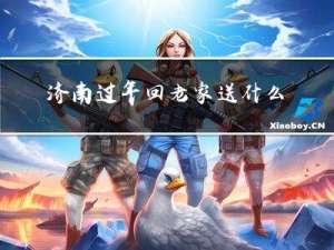 濟南過年回老家送什么花