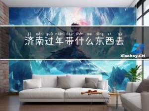 济南过年带什么东西去