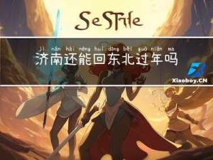 济南还能回东北过年吗今天