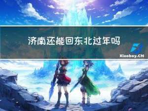 济南还能回东北过年吗