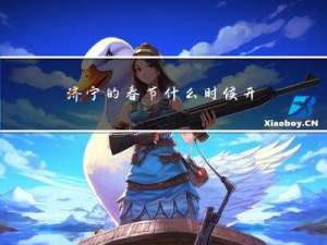 济宁的春节什么时候开始