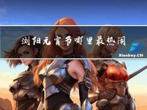 浏阳元宵节哪里最热闹作文