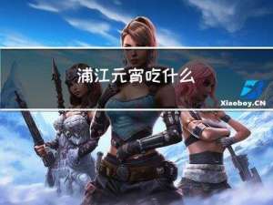 浦江元宵吃什么