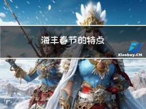 海丰春节的特点