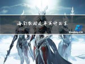 海南农村过年买什么东西