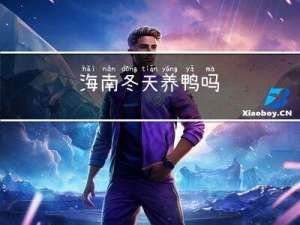 海南冬天养鸭吗