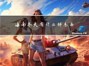 海南冬天有什么好东西