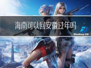 海南可以回安徽过年吗吗