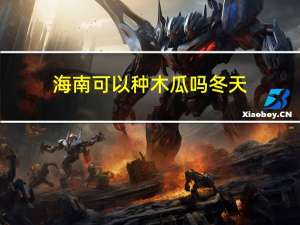 海南可以种木瓜吗冬天