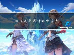 海南过年买什么便宜点