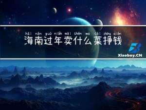 海南过年卖什么菜挣钱