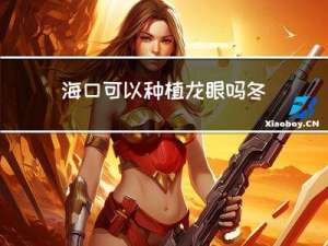 海口可以种植龙眼吗冬天