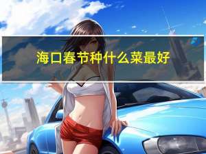 海口春节种什么菜最好