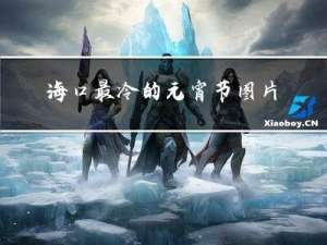 海口最冷的元宵节图片大全