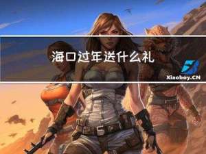 海口过年送什么礼