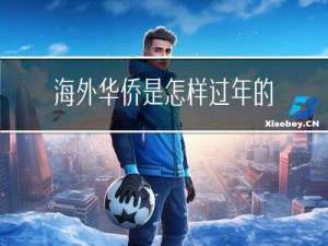 海外华侨是怎样过年的作文