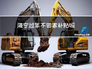 海宁过年不回家补贴吗