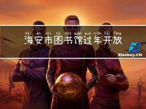 海安市图书馆过年开放吗