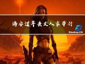 海安过年去丈人家带什么好