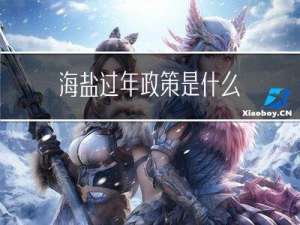 海盐过年政策是什么