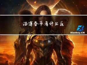 淄博春节有什么花