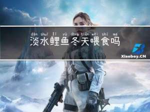 淡水鲤鱼冬天喂食吗