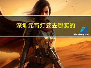 深圳元宵灯笼去哪买的