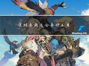 深圳冬天适合养什么月季