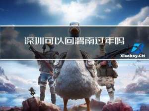 深圳可以回渭南过年吗吗
