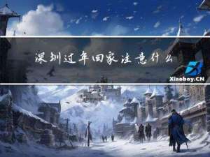 深圳过年回家注意什么事项