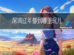 深圳过年都到哪里玩儿
