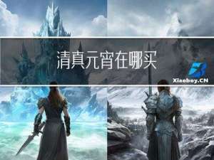 清真元宵在哪买