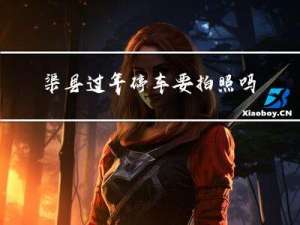 渠县过年停车要拍照吗