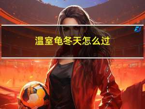 温室龟冬天怎么过