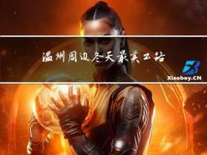 温州周边冬天最美公路图