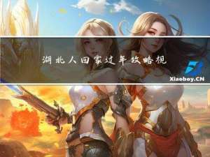 湖北人回家过年攻略视频